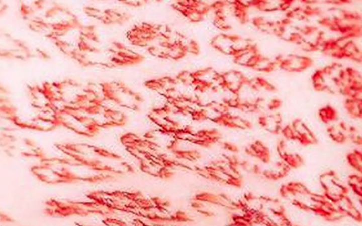 Frozen kobe beef Vancouver BC Jfood.ca